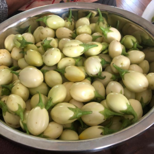 Pack of Garden Egg (Impwa)